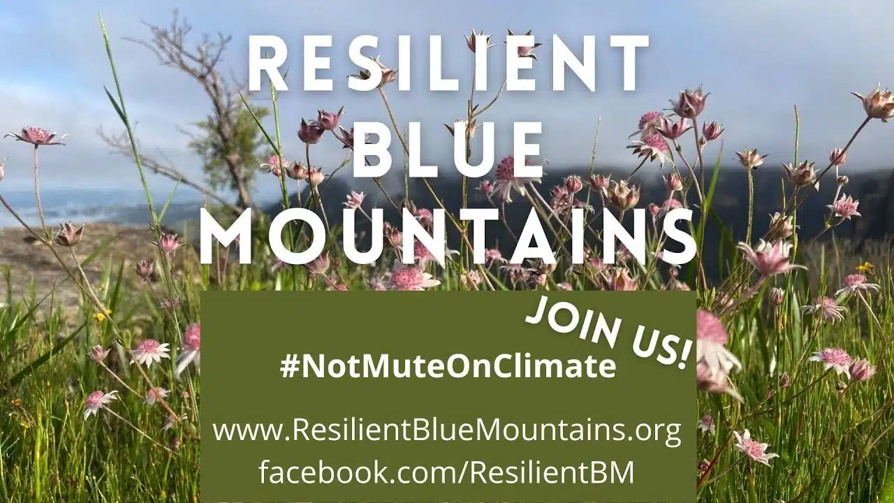 Resilient Blue Mountains Video